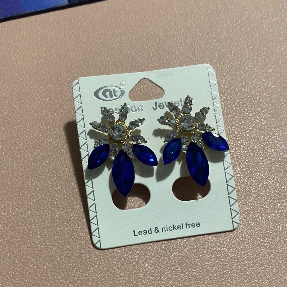Elegant Blue Crystal Earrings